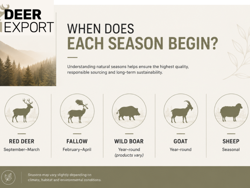 Horizontal infographic showing the start of the collection season for different natural animal products. It lists Red Deer (September–March), Fallow Deer (February–April), Wild Boar (year-round, products vary), Goat (year-round), and Sheep (seasonal), using a clean, earthy design with animal silhouettes and space for a company logo.