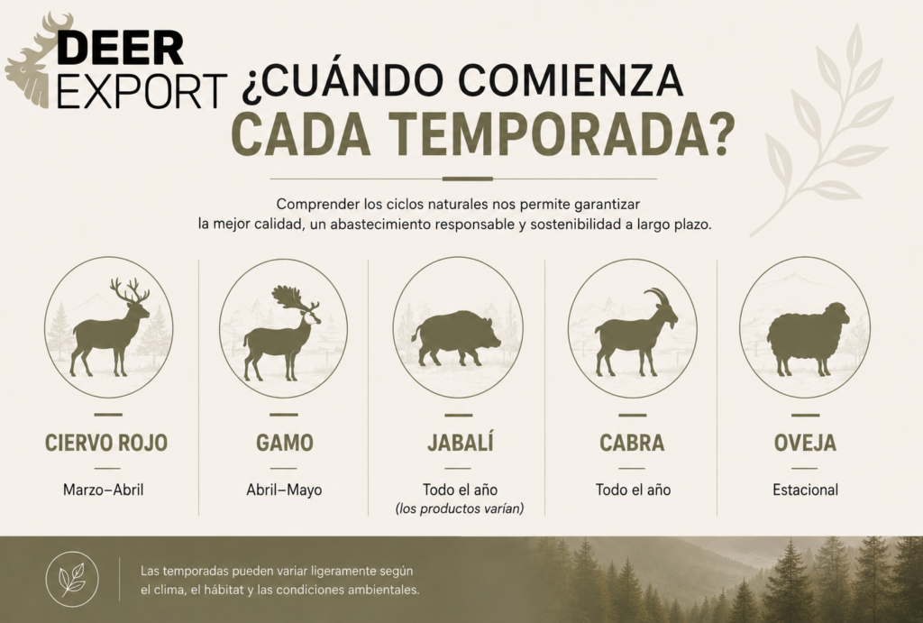 Infografía horizontal que muestra el inicio de la temporada de recogida de diferentes productos naturales de origen animal. Incluye Ciervo Rojo (septiembre–marzo), Gamo (febrero–abril), Jabalí (todo el año, los productos varían), Cabra (todo el año) y Oveja (estacional), con un diseño limpio en tonos naturales, siluetas de animales y espacio para el logotipo de la empresa.