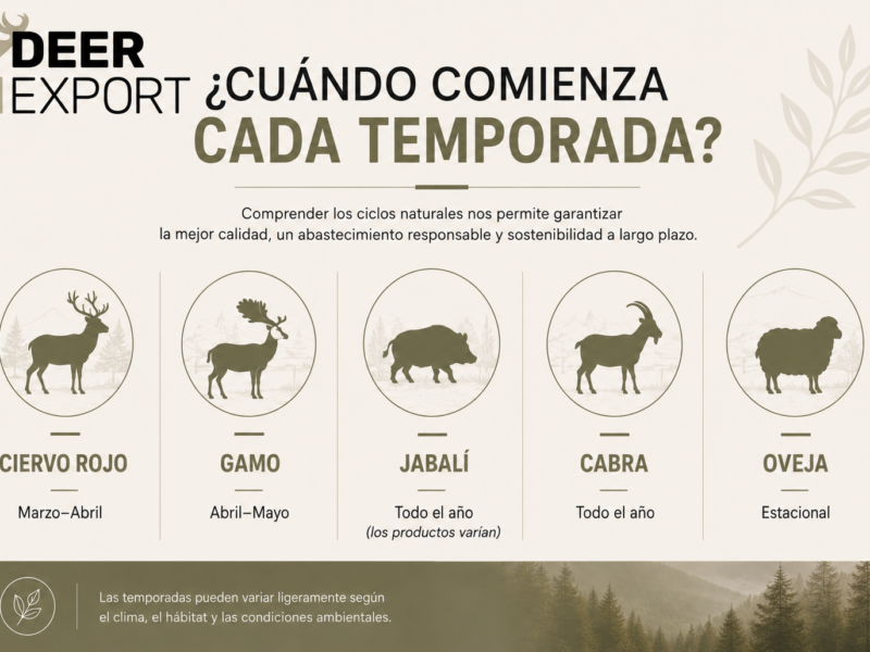 Infografía horizontal que muestra el inicio de la temporada de recogida de diferentes productos naturales de origen animal. Incluye Ciervo Rojo (septiembre–marzo), Gamo (febrero–abril), Jabalí (todo el año, los productos varían), Cabra (todo el año) y Oveja (estacional), con un diseño limpio en tonos naturales, siluetas de animales y espacio para el logotipo de la empresa.